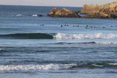 Photo 11 des cours de surf de La Vague Basque à Biarritz